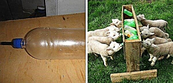 איך להכין מזון עצמי, משתלות, קערות שתייה לכבשים: לתבואה, חציר, לחמניות חציר, ערכות, רישומים