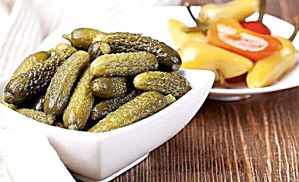 Preservation of gherkins cucumbers: the most delicious recipes for the winter, storage at home