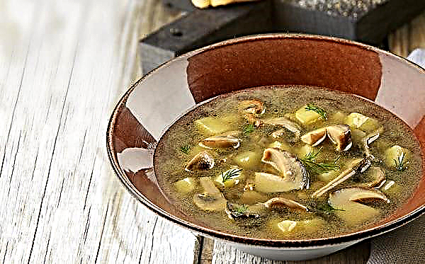 Cómo cocinar una deliciosa sopa con champiñones y papas: una receta simple paso a paso con fotos