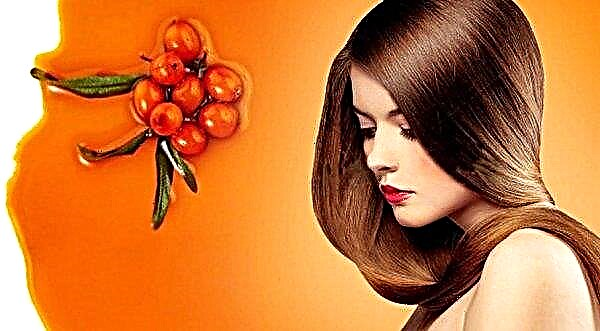 Olje iz ajdove ogrce za lase: pregledi in zdravilne lastnosti, pravila za uporabo doma, ali pospešuje rast in pomaga pri prhljaju