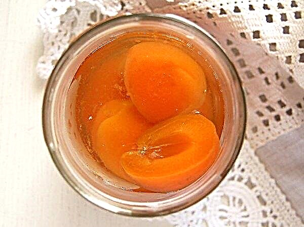 Aprikoosikompotti: askel askeleelta reseptit talvivalmistukseen, säilytysmenetelmät
