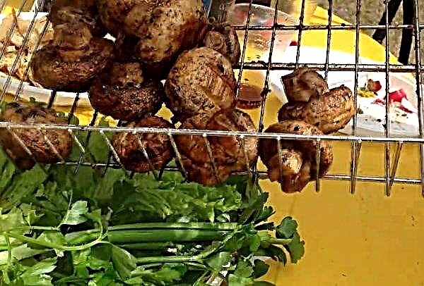 Pilze auf dem Grill, ein einfaches Schritt-für-Schritt-Rezept zum Kochen von Marinade mit Sojasauce und Knoblauch mit einem Foto