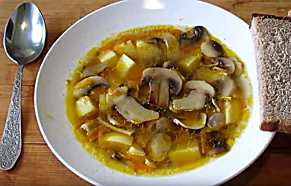 كيفية طهي الحساء مع الفطر الطازج والبطاطس ، وصفة بسيطة ولذيذة خطوة بخطوة مع الصور