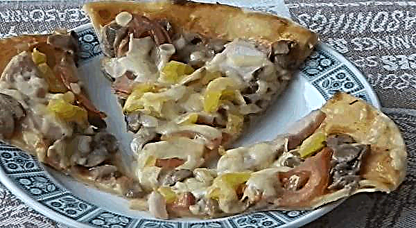 Opskrifter med syltede svampe: enkle og velsmagende salater, tærter, pizzaer