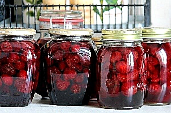Strawberry jam for the winter: useful properties, cooking features, delicious recipes, storage rules