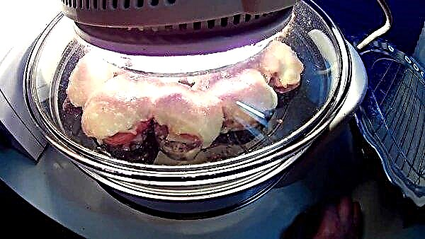 Saumon rose dans un grill chaud: une recette étape par étape avec une photo; comment faire cuire le saumon rose pour qu'il soit juteux