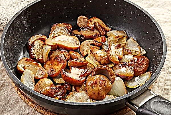 Frozen champignons: recipes for cut mushrooms with a photo