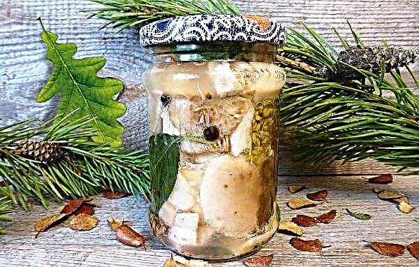 How to pickle Russula for the winter, cooking recipes at home: cold without cooking, hot, in jars