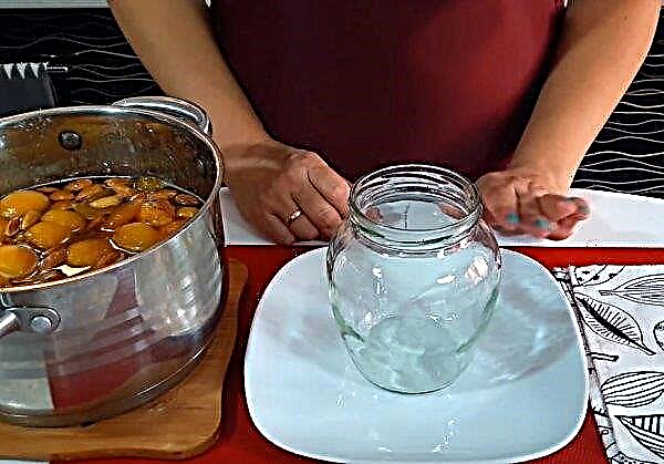 Aprikosenmarmelade mit Mandeln: das leckerste Rezept, Schritt für Schritt mit einem Foto kochen