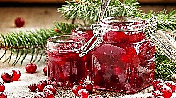 Cranberry-jam: recepten, koken, thuis koken, methoden