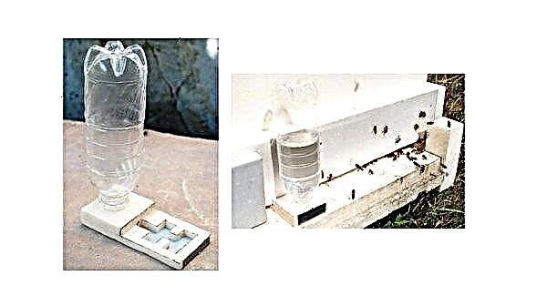 وعاء لشرب النحل: كيفية صنع وعاء للشرب من زجاجة بلاستيكية ومواد مرتجلة أخرى بيديك ، صور ، فيديو
