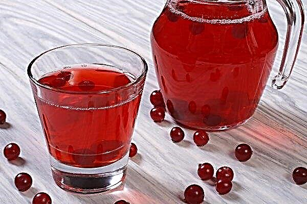 Compote of lingonberry: a recipe for the winter, from frozen lingonberry, what is useful, photo