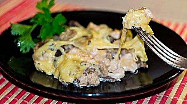 Pechuga de pollo con champiñones en una olla de cocción lenta, una receta simple paso a paso con una foto