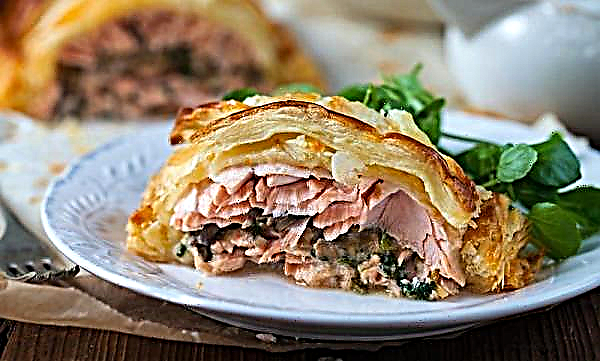 Pink salmon in puff pastry: baked fish in the oven, recipes with photos, how to cook puffs and pie