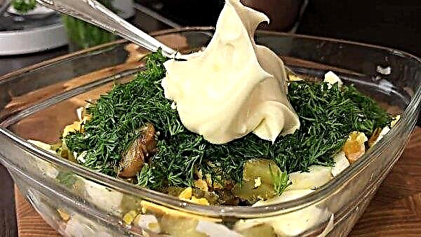 Salade met calamares en champignons, een eenvoudig stapsgewijs recept voor koken met een foto