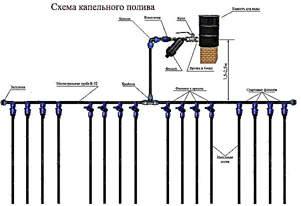Automatic drip irrigation for a greenhouse from a barrel: types, advantages and disadvantages, how to do it yourself at home