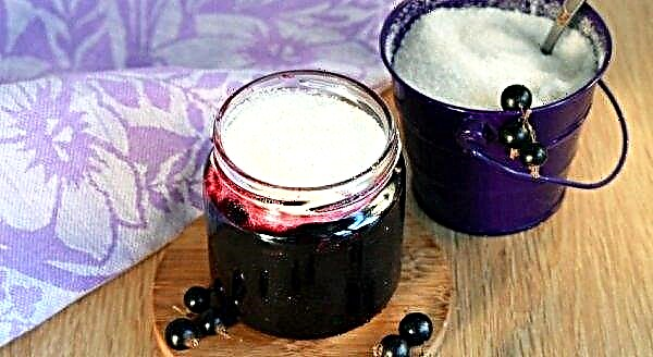 Black currant with sugar for the winter without cooking, how to cook, recipe and proportions