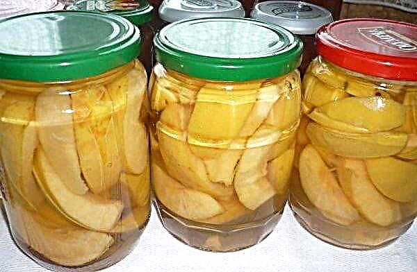 Blancs de pomme: les recettes les plus populaires, les méthodes de stockage