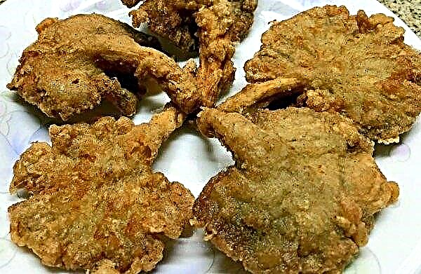 Fried oyster mushrooms: instant recipes with onions, potatoes, batter, calories