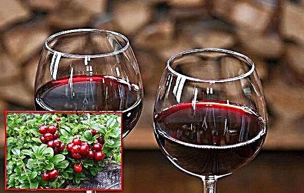 Recetas para hacer vino de arándanos rojos en casa con una foto