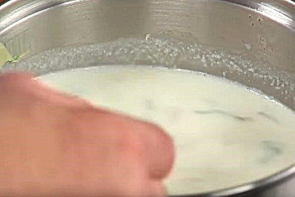 Sopa de chum: recetas con fotos, cómo cocinar la sopa de filete de pescado con crema y papas paso a paso