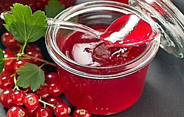 Delicious recipes for red currant jam for the winter