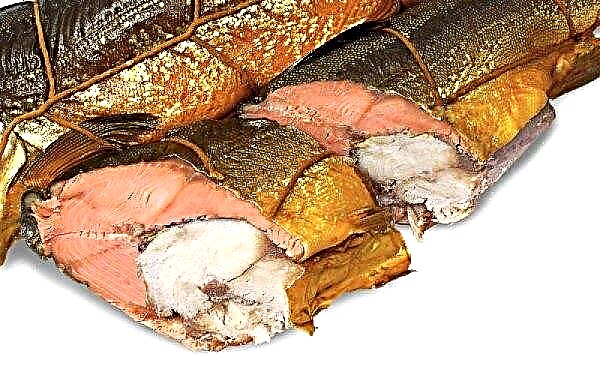 Rosa Lachs-Makrelen-Rolle: Rezepte im Ofen, wie man gefüllte Rolle mit Gelatine kocht, heiß geräucherte Fischrolle