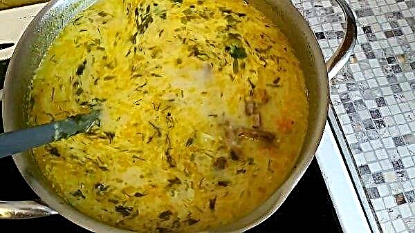 ताजे मशरूम के साथ मशरूम का सूप कैसे पकाने के लिए: फोटो के साथ एक सरल और स्वादिष्ट कदम नुस्खा
