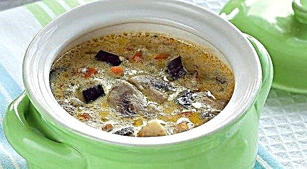 Sup cendawan: champignons segar, resipi mudah