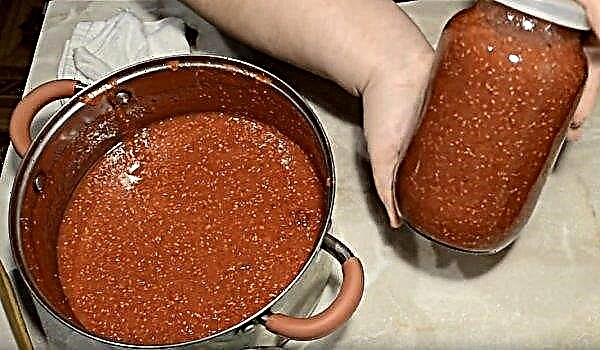 Delicioso purê de framboesas com açúcar para o inverno: as melhores receitas e métodos de cozimento, fotos, vídeo