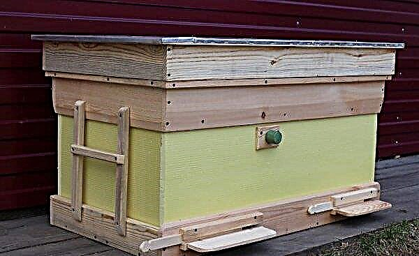 Styrofoam hives: features, DIY manufacturing, drawings, sizes, equipment, video