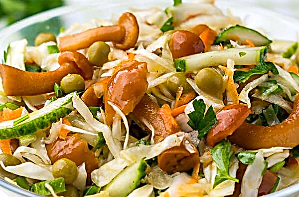 Délicieuses salades aux champignons marinés, carottes et concombres, simples recettes de cuisine étape par étape, avec photo