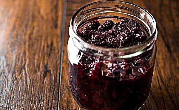 How to make mulberry jam for the winter, recipes with photos