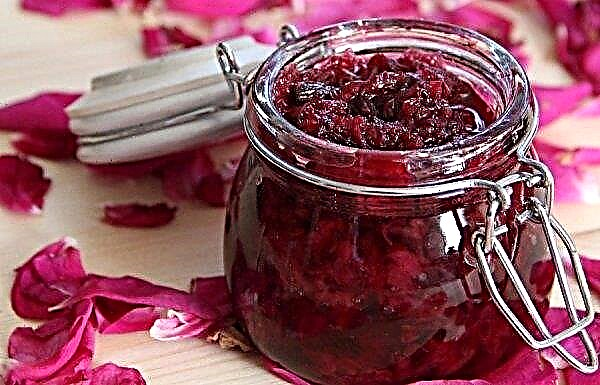 Lingonberry jam with apples: the most delicious recipes, storage at home