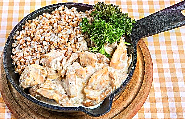 Fricassé de frango com cogumelos: de frango, em molho de natas, com trigo sarraceno, receitas com fotos