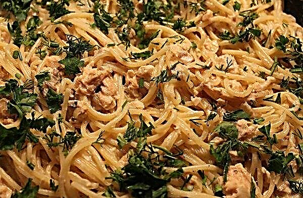 Pasta with pink salmon in a creamy sauce: cooking pasta with canned pink salmon, spaghetti with cream and cheese, recipes step by step with photos