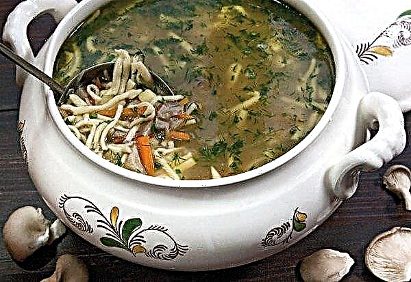 सीप मशरूम से मशरूम सूप कैसे पकाने के लिए, फोटो के साथ एक सरल और स्वादिष्ट कदम नुस्खा द्वारा