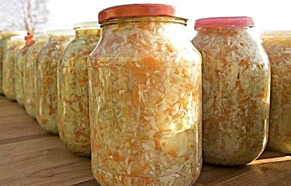 Recipe for sauerkraut with bell pepper in jars, photo