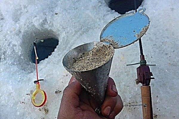 معالجة الشتاء للدنيس: معدات الصيد في الموسم البارد ، معالجة قابلة للاستعمال للصيد خلال