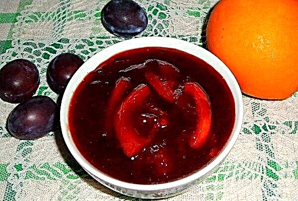 Seedless plum jam: the simplest and most delicious recipes, storage methods at home
