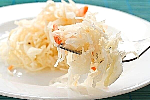 Why do you want sauerkraut cabbage: what is missing in the body