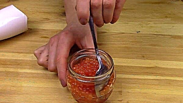 Fünf Minuten Kaviar aus rosa Lachs zu Hause: Ein Rezept zum Kochen, Zubereiten und Salzen von Kaviar in 5 Minuten