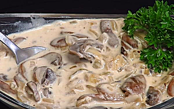 Mushroom sauce for champignon pasta with cream, a simple step-by-step recipe for cooking