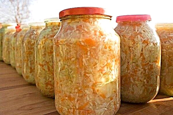 Crispy sauerkraut: the best recipes for the winter with a photo, storage rules