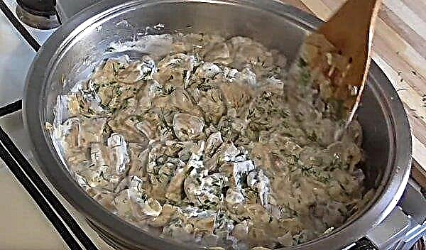 How to cook champignons in sour cream, a simple and tasty recipe with onions and garlic