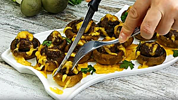 Champignon farci aux champignons avec viande et fromage au four: une recette simple étape par étape pour cuisiner avec une photo