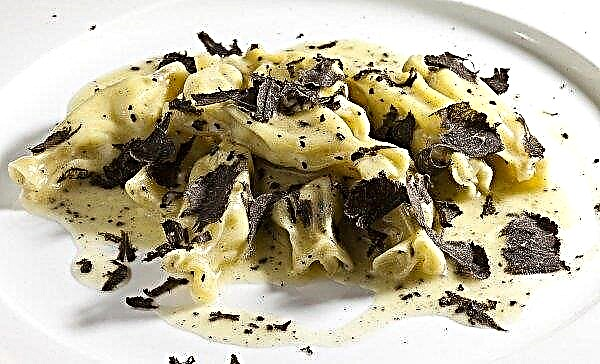 Champignon aux truffes: comment cuisiner à la maison, comment et quoi manger, recette