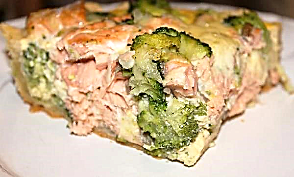 Chum pie: come cucinare da lievito e pasta sfoglia al forno: ricette passo-passo con foto, come fare i broccoli