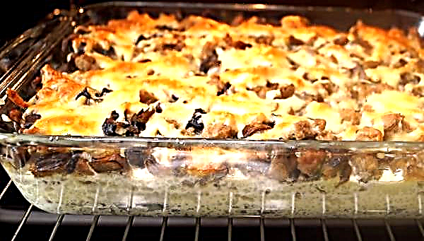 Vulling met champignons: wat te koken, recepten, van kip en gehakt, in de oven