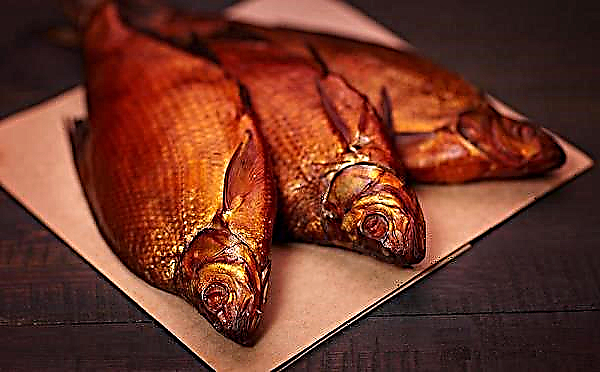 Kaltgeräucherte Brasse: wie man zu Hause richtig Fisch raucht, Rezepte, Fotos